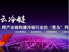 深圳紫云云计算有限公司
